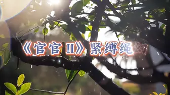 27【白城出品】第十二部《官官II紧缚绳幻想》全集